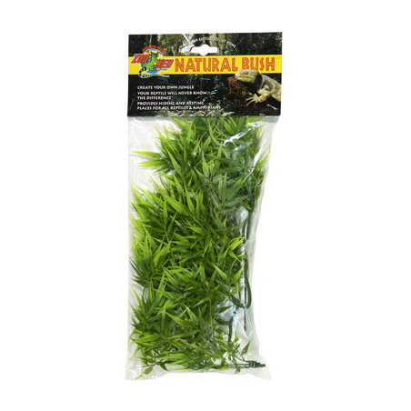 PLANTE MADAGASCAR BAMBO MM - ZM