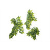 BANYAN LEAVES 50cm REPTIZOO