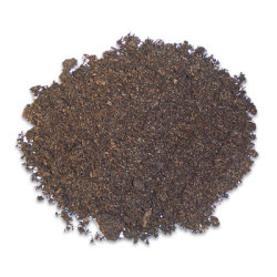 *TERRANO TERRA 4L (sur commande)