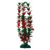 PLANTE LUDWIGIA 12cm