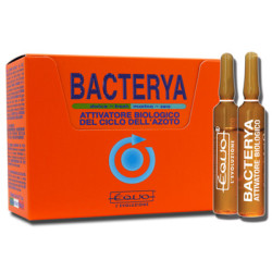 BACTERYA 5ml 24 ampoules EQUO