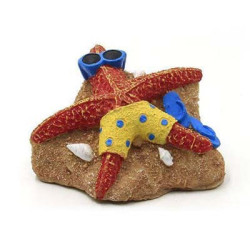 √âtoile de mer 8.6x7.5x4.8cm SCALARE