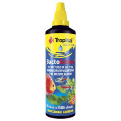 BACTO ACTIVE 250ml