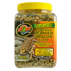 NOUR.NATURAL BEARDED DRAGON juvénile 283grs