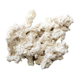 ROCHE REEF-ROCKS naturel aragonite 9-12cm (carton de 20kg) ARKA