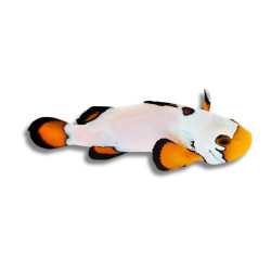 Amphiprion ocellaris Flurry - Poisson Clown de Sélection 3 cm