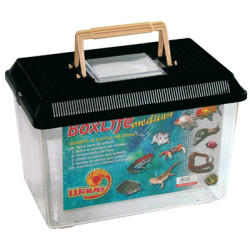 BOXLIFE MEDIUM