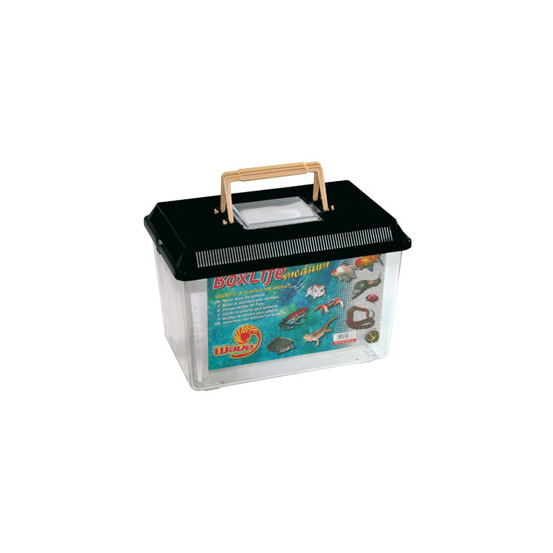 BOXLIFE MEDIUM