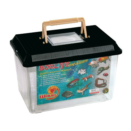 BOXLIFE MEDIUM