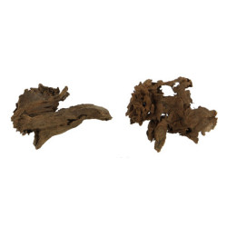 RACINE MANGROVE XS 12-15cm HOBBY