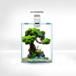 AQUARIUM SHRIMPSET SMART D&N 10 BLANC 10L
