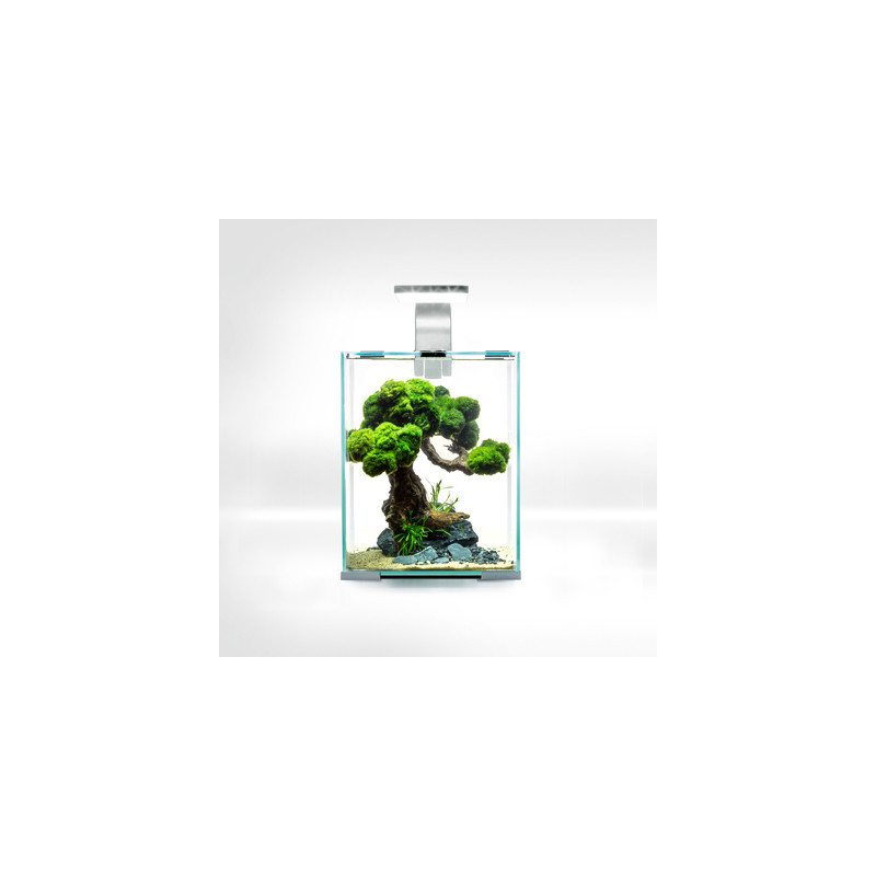 AQUARIUM SHRIMPSET SMART D&N 10 BLANC 10L