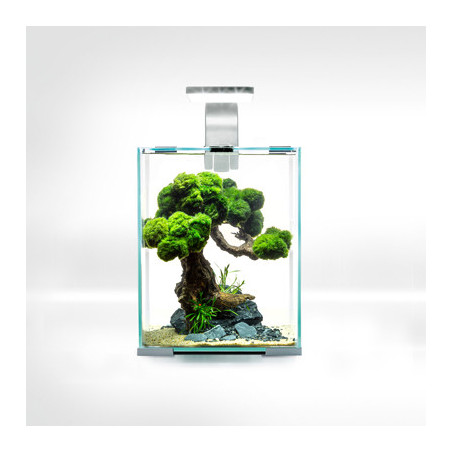 AQUARIUM SHRIMPSET SMART D&N 10 BLANC 10L