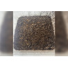 Collembole tropicaux (10)
