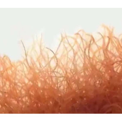 Tubifex vivants 90ml