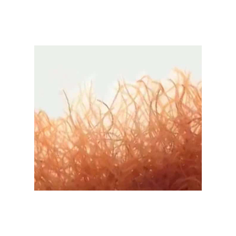 Tubifex vivants 90ml