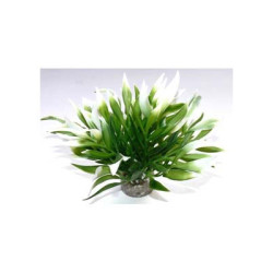 AQUATIC LEAVES H:12cm SCALARE