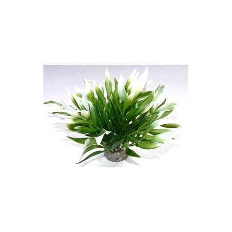 AQUATIC LEAVES H:12cm SCALARE