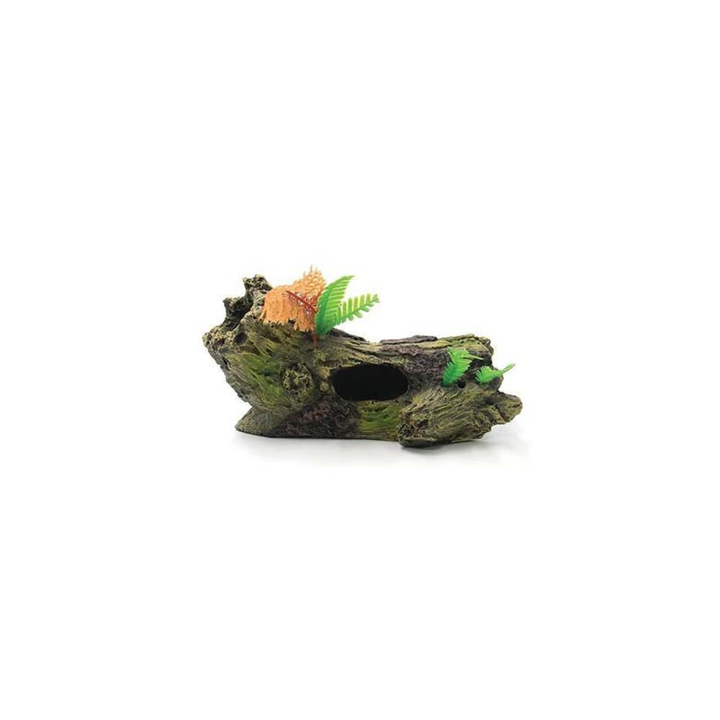 Souche 15.3x9x7.2cm SCALARE