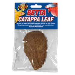 BETTA CATAPPA LEAF