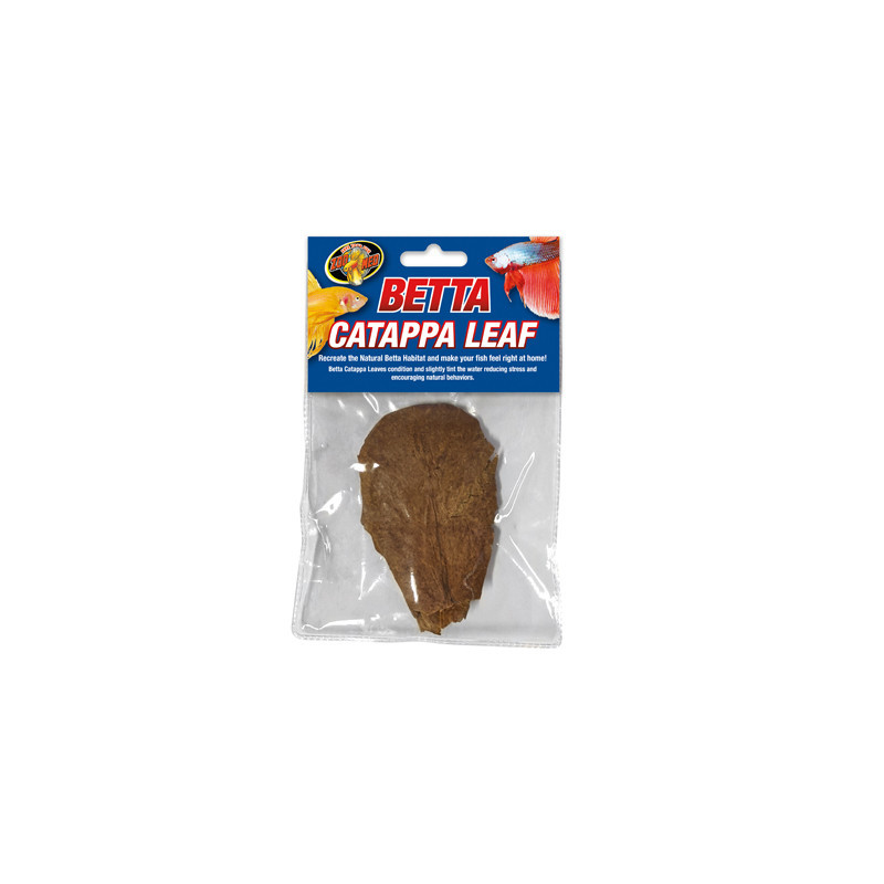 BETTA CATAPPA LEAF