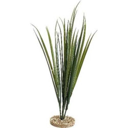 TERRA HERBE 65cm SCALARE