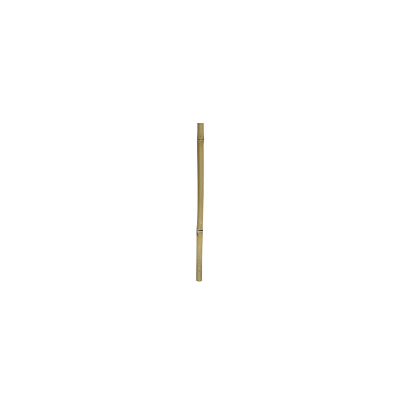 *BAMBOO STIX 50cm dia.2-3cm HOBBY (sur commande)