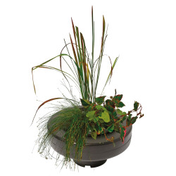 Panier flottant diamètre 22 cm – Support pour plantes de bassin