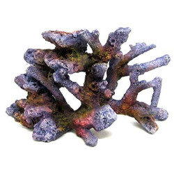 REEF ROCK BRANCH SERIES SM2 19.5x9x11.7cm