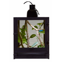 NANO BREEZE (terrarium insecte)  ZOOMED
