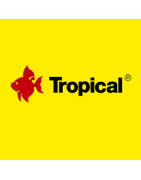 TROPICAL