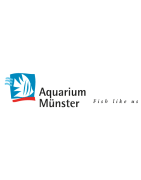 AQUARIUM MUNSTER
