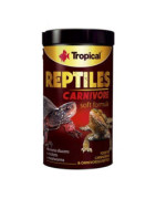 Alimentation pour Reptiles, Offrez une Nourriture Variée et Équilibrée