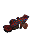 Les Gobies