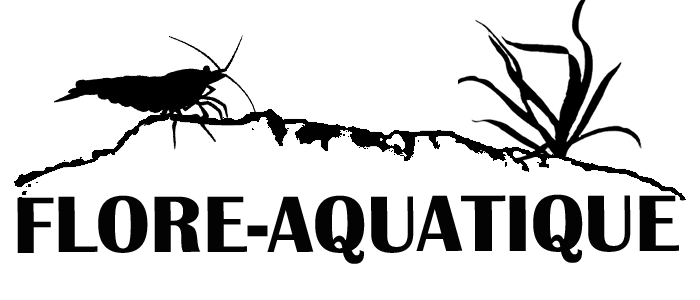 FLORE-AQUATIQUE